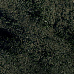 Satellite imagery of Mitchell Ridge, US
