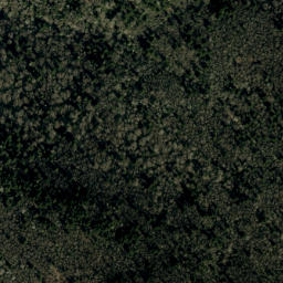 Satellite imagery of Mitchell Ridge, US