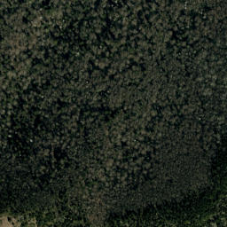 Satellite imagery of Maple Camp Ridge, US