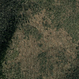 Satellite imagery of Maple Camp Ridge, US