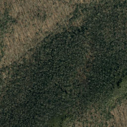 Satellite imagery of Maple Camp Ridge, US