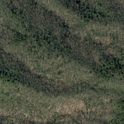 Satellite imagery of Timber Ridge, US
