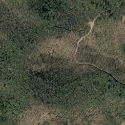 Satellite imagery of Timber Ridge, US