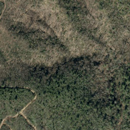 Satellite imagery of Timber Ridge, US