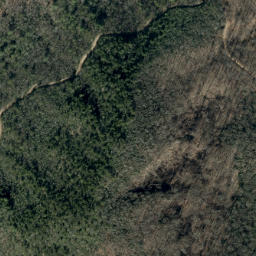 Satellite imagery of Rough Ridge, US