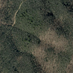 Satellite imagery of Rough Ridge, US