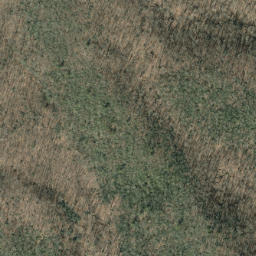 Satellite imagery of Runyon Ridge, US