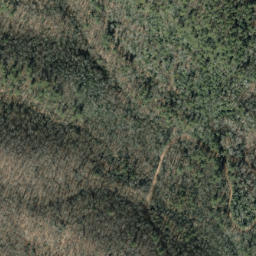 Satellite imagery of Mine Ridge, US
