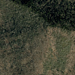Satellite imagery of Mitchell Ridge, US