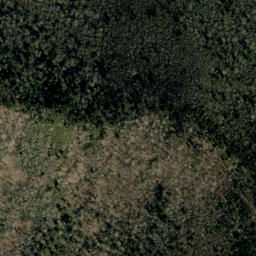 Satellite imagery of Mitchell Ridge, US