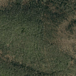 Satellite imagery of Open Ridge, US