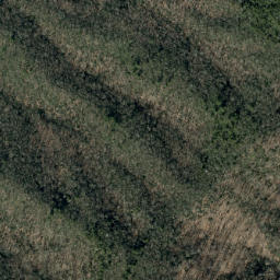 Satellite imagery of Timber Ridge, US