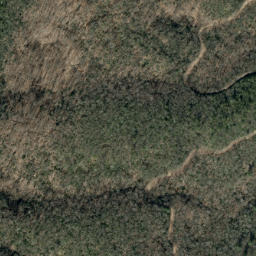 Satellite imagery of Timber Ridge, US