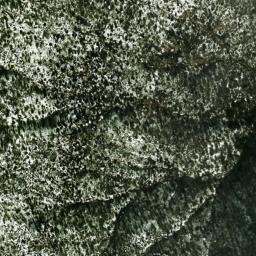 Satellite imagery of Betty Lou Mine, US