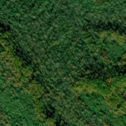 Satellite imagery of Sutton Ridge, US