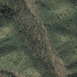 Satellite imagery of Leadmine Ridge, US