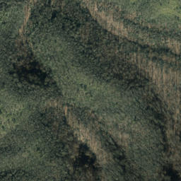 Satellite imagery of Leadmine Ridge, US