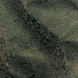Satellite imagery of Groundhog Ridge, US