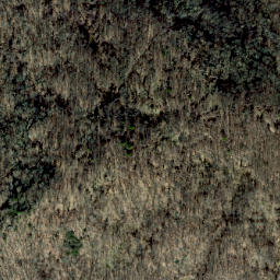 Satellite imagery of High Poplar Ridge, US