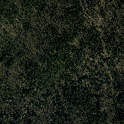 Satellite imagery of Mitchell Ridge, US