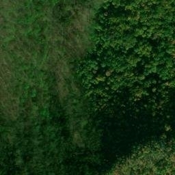 Satellite imagery of Chilhowee Mountain, US