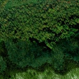 Satellite imagery of Gilliland Ridge, US