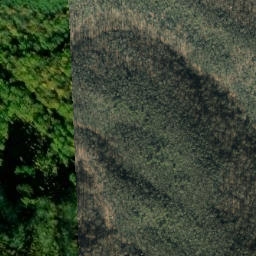 Satellite imagery of Gilliland Ridge, US