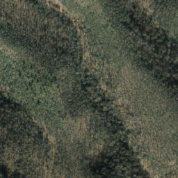 Satellite imagery of Leadmine Ridge, US