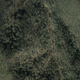 Satellite imagery of Groundhog Ridge, US
