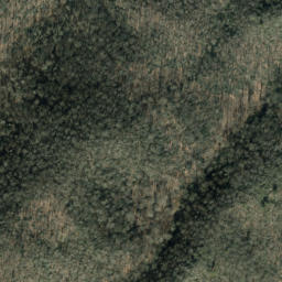 Satellite imagery of Groundhog Ridge, US