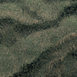 Satellite imagery of Cammerer Ridge, US