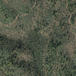 Satellite imagery of Mine Ridge, US