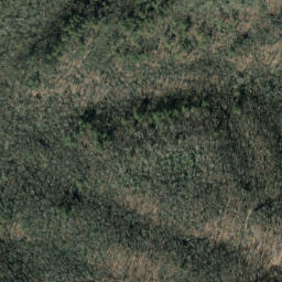 Satellite imagery of Hickory Ridge, US