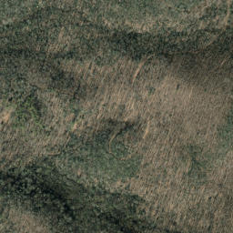 Satellite imagery of Hickory Ridge, US