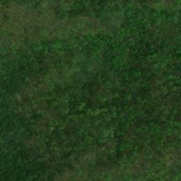 Satellite imagery of Trail Ridge, US