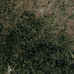 Satellite imagery of Fork Ridge, US