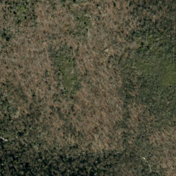 Satellite imagery of Fork Ridge, US
