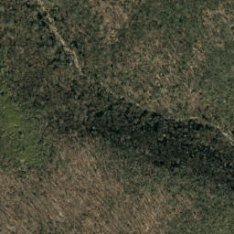 Satellite imagery of Fork Ridge, US