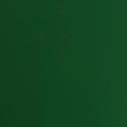 Satellite imagery of Mizell Bluff, US