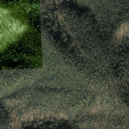 Satellite imagery of Gilliland Ridge, US