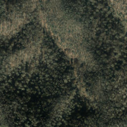 Satellite imagery of Leadmine Ridge, US
