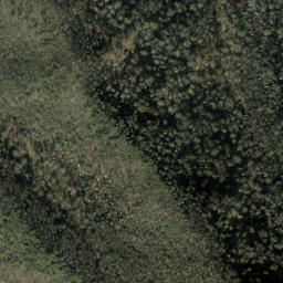 Satellite imagery of Groundhog Ridge, US