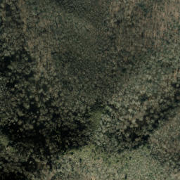 Satellite imagery of Groundhog Ridge, US