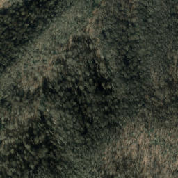 Satellite imagery of Cammerer Ridge, US