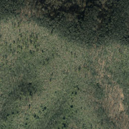 Satellite imagery of Buck Ridge, US