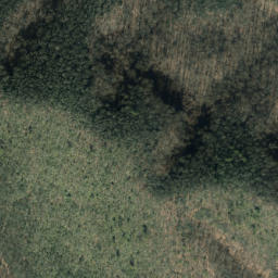 Satellite imagery of Buck Ridge, US