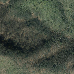 Satellite imagery of Buck Ridge, US