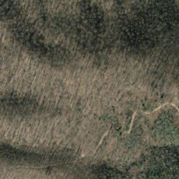 Satellite imagery of Hickory Ridge, US