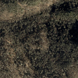 Satellite imagery of Big Andy Ridge, US