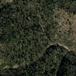 Satellite imagery of Fork Ridge, US